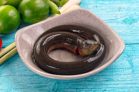 Fresh raw gourmet eel fish for cookingの写真素材