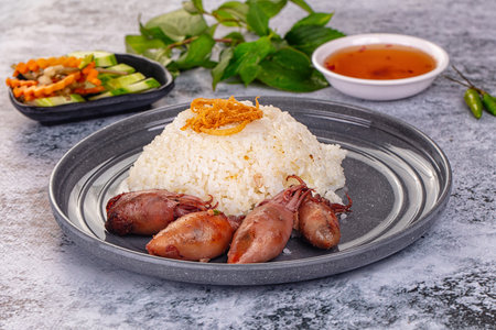 Tasty baked baby swuid with riceの写真素材