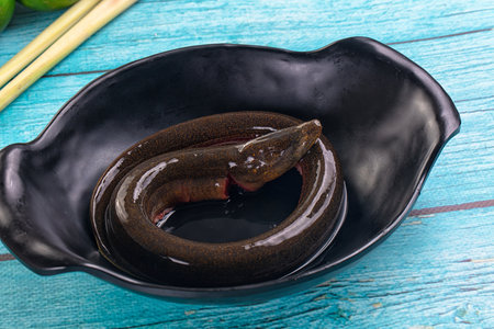Fresh raw gourmet eel fish for cooking