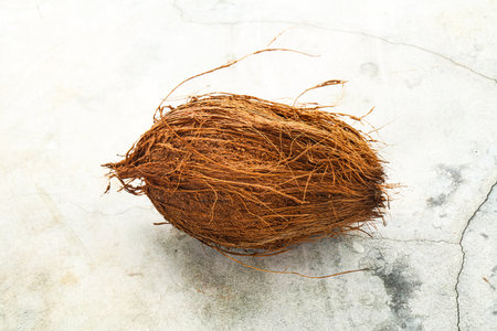 Natural exotic brown hairy coconut with shellの写真素材