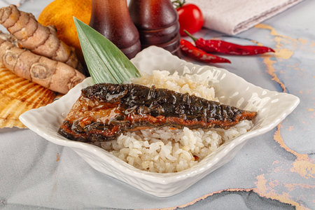 Smoked eel in unagi sauce and steamed riceの写真素材