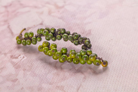 Ripe green pepper corn branch for cookingの写真素材