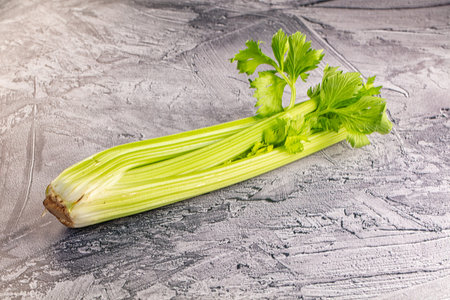 Raw green selery stem with leaves for cookingの写真素材