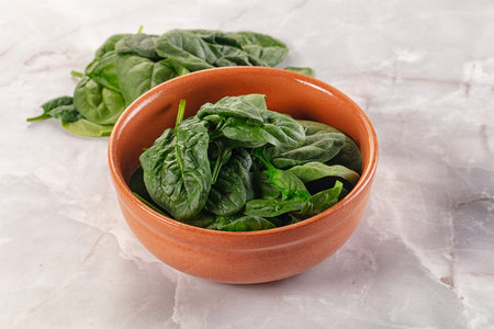 Raw green baby spinach plant in the bowlの写真素材