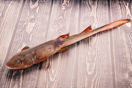 Raw fresh Indian catshark for cooking