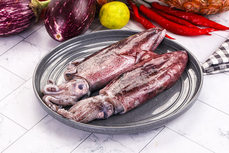 Raw fresh young squid for cooking