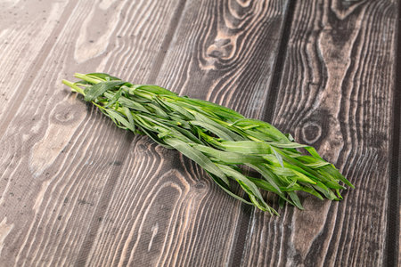 Fresh green estragon aroma stem heapの写真素材