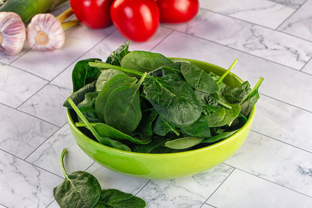 Raw fresh green spinach leaves in the bowlの写真素材