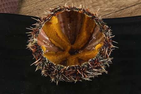 Delicous luxury raw sea urchin delicatessen