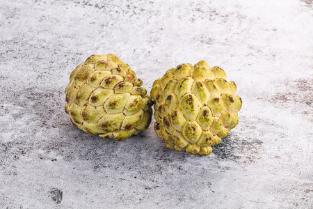 Ripe sweet juicy anona exotic fruitの写真素材