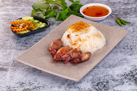 Tasty baked baby swuid with rice