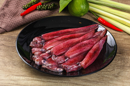 Raw fresh squids seafood for cooking