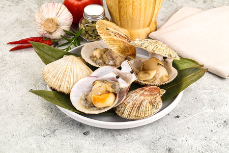 Raw fresh scallops in the shell for cooking