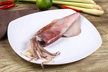 Raw fresh squid seafood for cooking