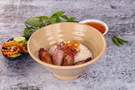 Tasty baked baby swuid with riceの写真素材