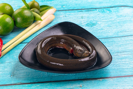 Fresh raw gourmet eel fish for cooking