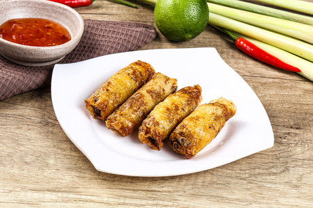 Vietnamese fried stuffed spring roll with meat