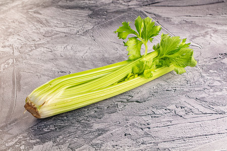Raw green celery stem with leaves for cooking