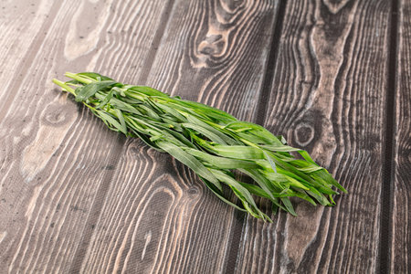 Fresh green estragon aroma stem heapの写真素材