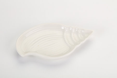 Empty white plate isolated