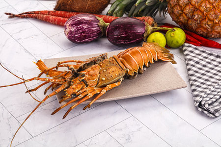 Luxury expensive boiled red spiny lobsterの写真素材