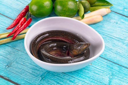 Fresh raw gourmet eel fish for cooking