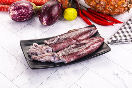 Raw fresh young squid for cooking