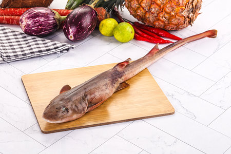 Raw fresh Indian catshark for cookingの写真素材