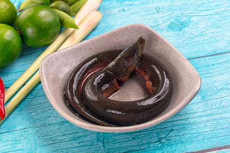 Fresh raw gourmet eel fish for cooking
