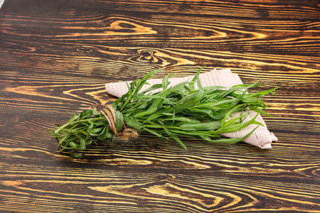 Green estragon branches for cooking or aromatherapyの写真素材