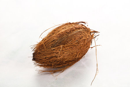 Natural exotic brown hairy coconut with shell