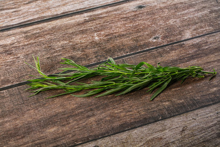 Fresh green tarragon aromatic grass herb for cookingの写真素材