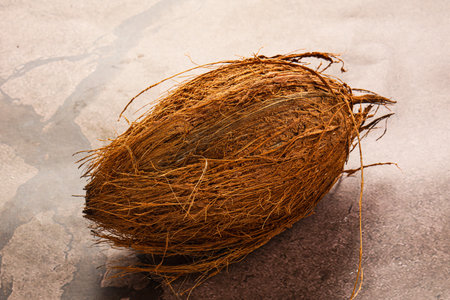 Natural exotic brown hairy coconut with shellの写真素材