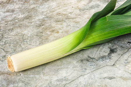 Fresh ripe green onion - Leek for cookingの写真素材