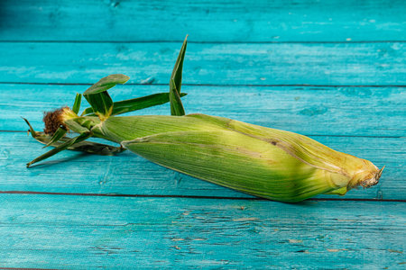 Ripe yellow sweet corn cob harvestの写真素材