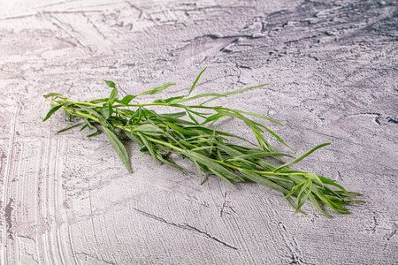 Fresh green tarragon aromatic grass herb for cookingの写真素材