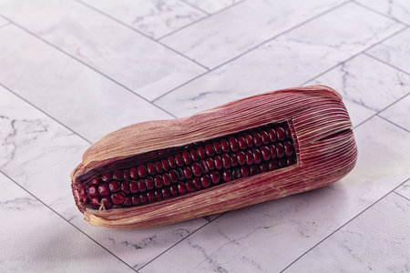 Organic natural Black ripe sweet cornの写真素材