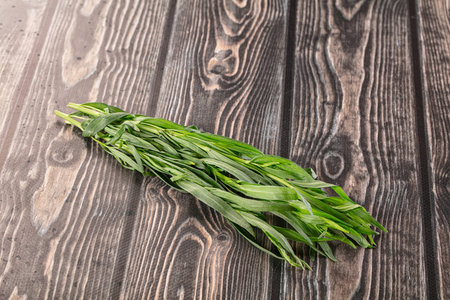 Fresh green estragon aroma stem heapの写真素材