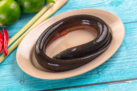 Fresh raw gourmet eel fish for cookingの写真素材