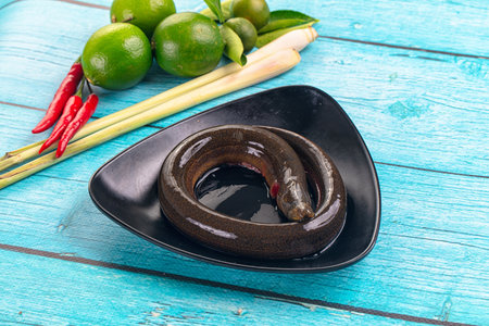 Fresh raw gourmet eel fish for cooking