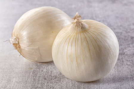 Ripe juicy white onion whole bulbの写真素材