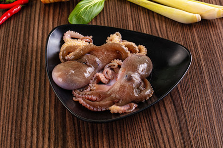 Delicous raw wild octopus for cookingの写真素材