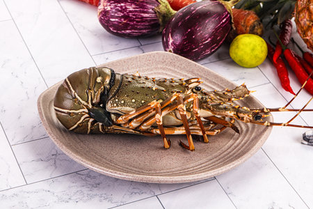Raw wild fresh spiny lobster for cookingの写真素材