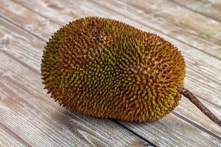 Whole tropical exotic ripe sweet jackfruit