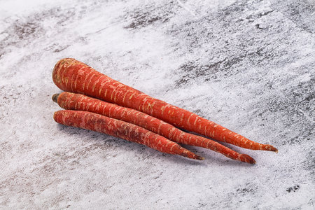 Red Indian raw carrot vegetable rootの写真素材