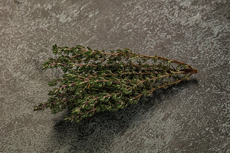 Fresh green Thyme aromatic branch isolated