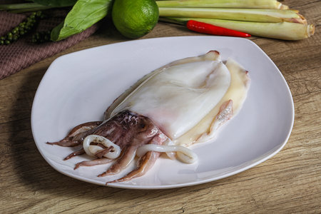 Raw fresh cuttlefish seafood for cookingの写真素材