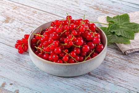 Raw ripe sweet juicy red currant served leaf