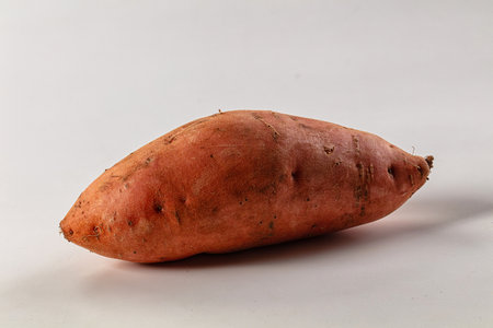 Raw sweet potato batat for cookingの写真素材