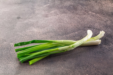 Young fresh juicy spring green onionの写真素材